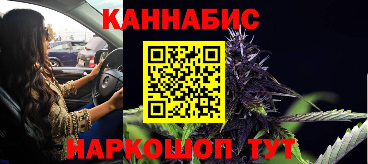 Конопля сатива Чернушка